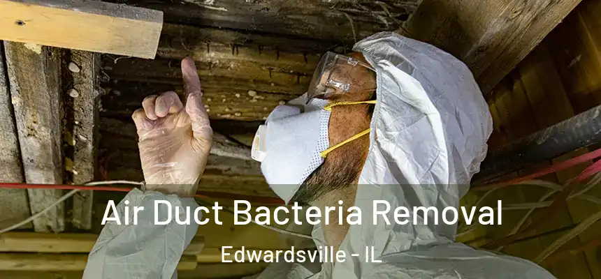  Air Duct Bacteria Removal Edwardsville - IL