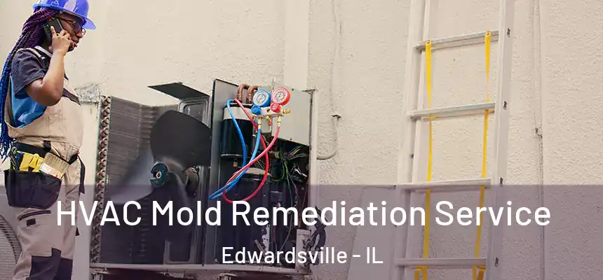HVAC Mold Remediation Service Edwardsville - IL