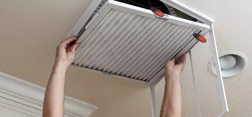 Preventive Cockroach-Proofing for Ducts in Edwardsville