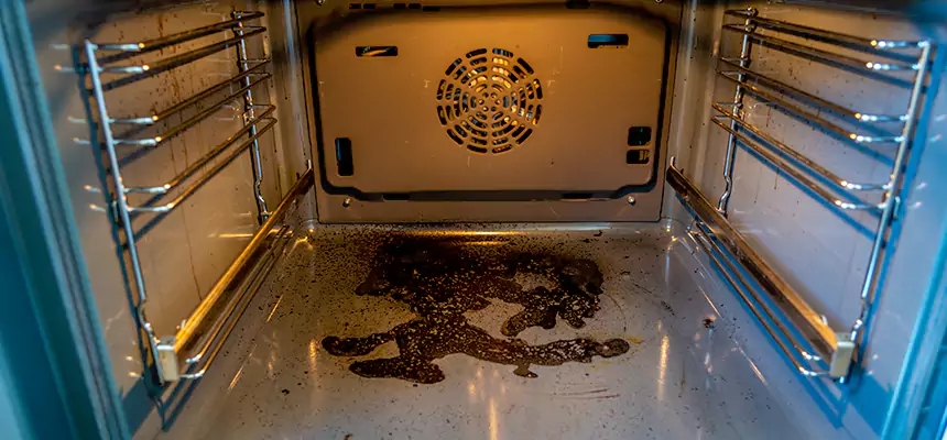 Our Dryer Vent Mold Cleaning Services in Edwardsville, IL