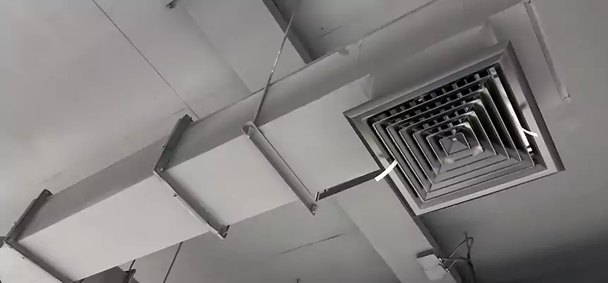 Our Rodent Droppings In Vents Services in Edwardsville, IL