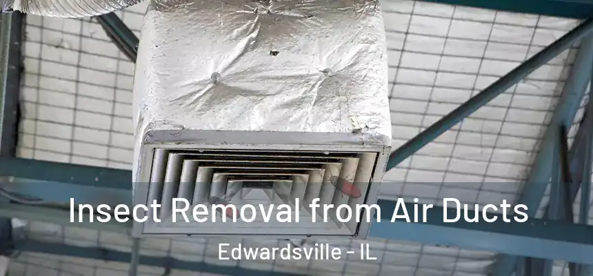 Insect Removal from Air Ducts Edwardsville - IL