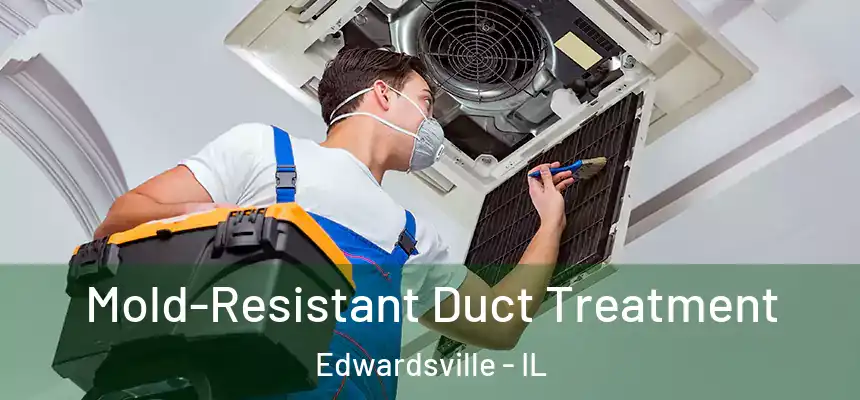 Mold-Resistant Duct Treatment Edwardsville - IL