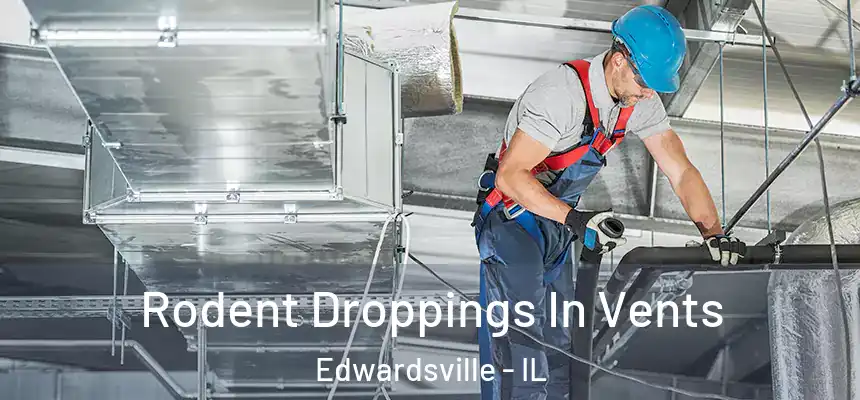  Rodent Droppings In Vents Edwardsville - IL