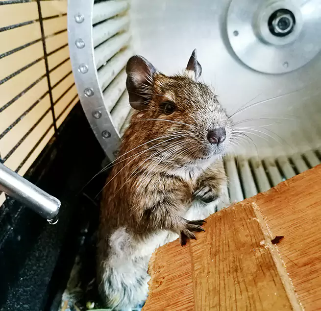 Why Homeowners & Businesses Trust Us Edwardsville, IL?