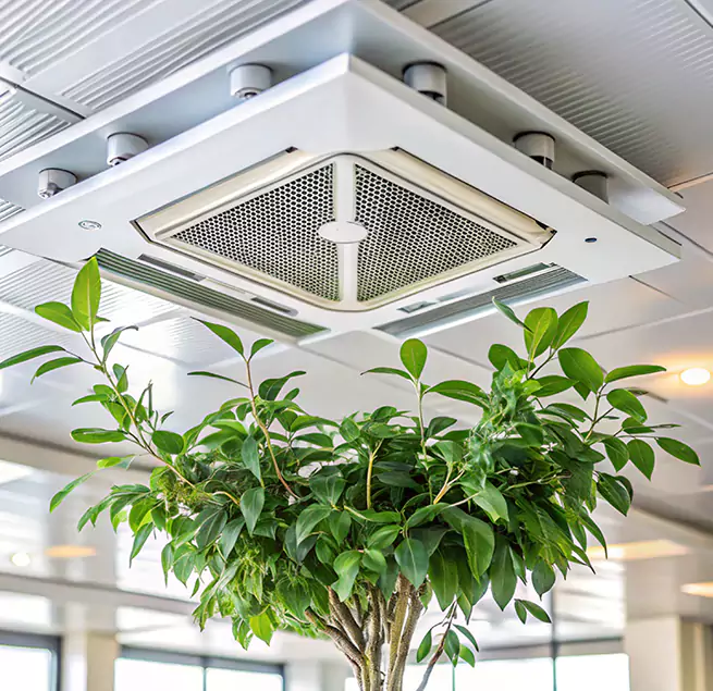 Why Homeowners & Businesses Trust Us in Edwardsville, IL?